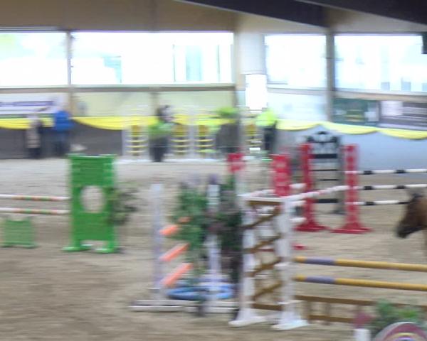 Equestrian Show Sauldorf-Boll 2026