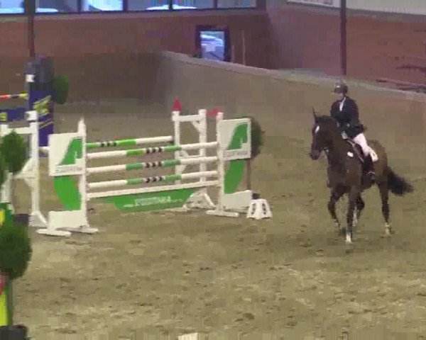 Junior-Open 2014