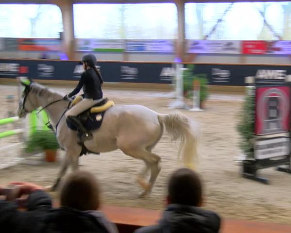 Equestrian Show Goch-Asperden 2026