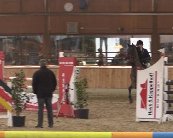 Hallen-Jugend-Springturnier Südlohn-Oeding 2014
