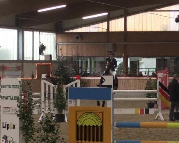 Hallen-Jugend-Springturnier Südlohn-Oeding 2014