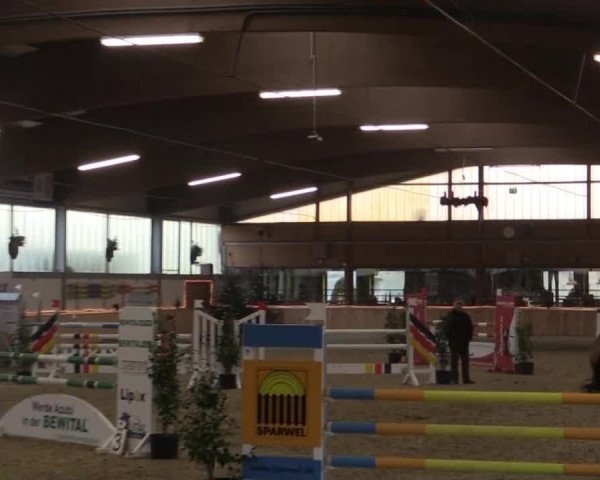 Hallen-Jugend-Springturnier Südlohn-Oeding 2014