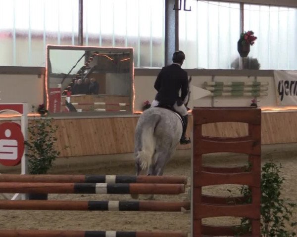 Hallen-Jugend-Springturnier Südlohn-Oeding 2014