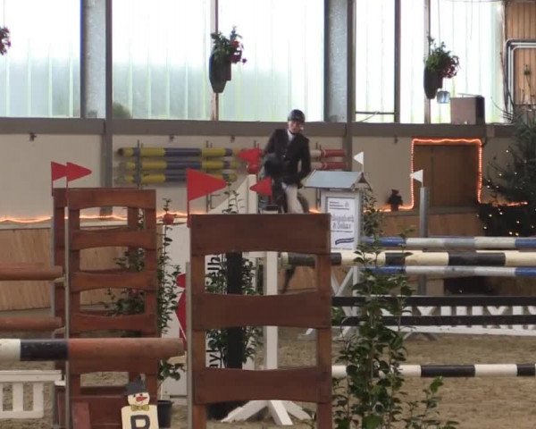 Hallen-Jugend-Springturnier Südlohn-Oeding 2014