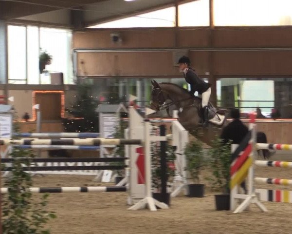 Hallen-Jugend-Springturnier Südlohn-Oeding 2014