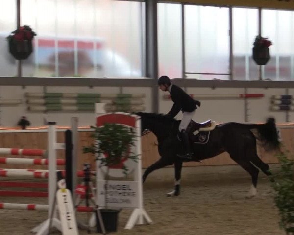 Hallen-Jugend-Springturnier Südlohn-Oeding 2014