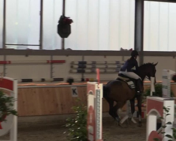 Hallen-Jugend-Springturnier Südlohn-Oeding 2014