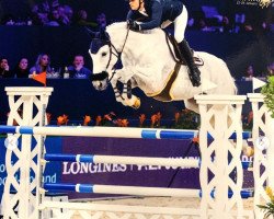 broodmare Centolina RB (Holsteiner, 2008, from Cento)