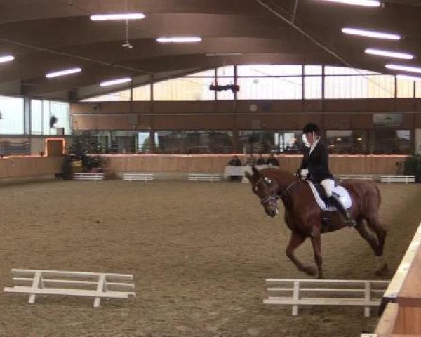 Hallen-Jugend-Springturnier Südlohn-Oeding 2014