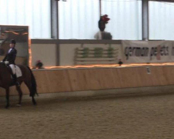 Hallen-Jugend-Springturnier Südlohn-Oeding 2014