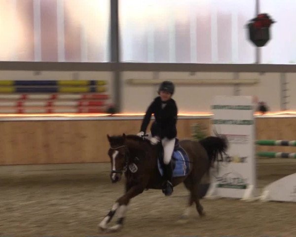 Hallen-Jugend-Springturnier Südlohn-Oeding 2014