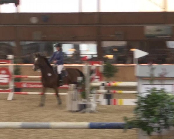 Hallen-Jugend-Springturnier Südlohn-Oeding 2014
