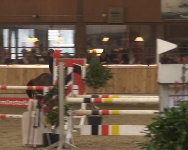 Hallen-Jugend-Springturnier Südlohn-Oeding 2014
