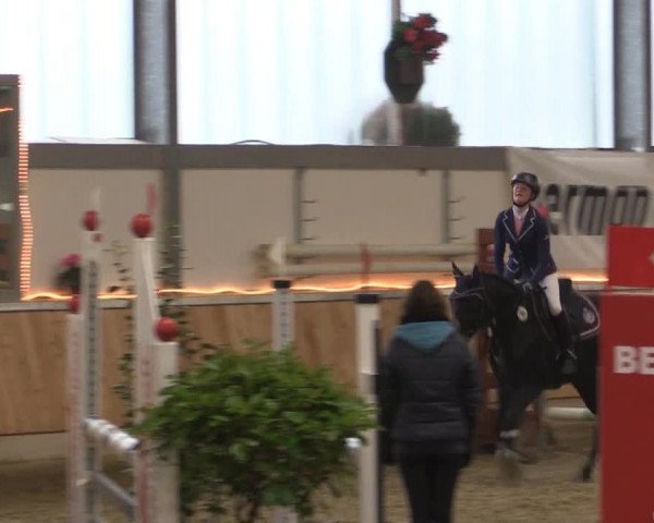 Hallen-Jugend-Springturnier Südlohn-Oeding 2014