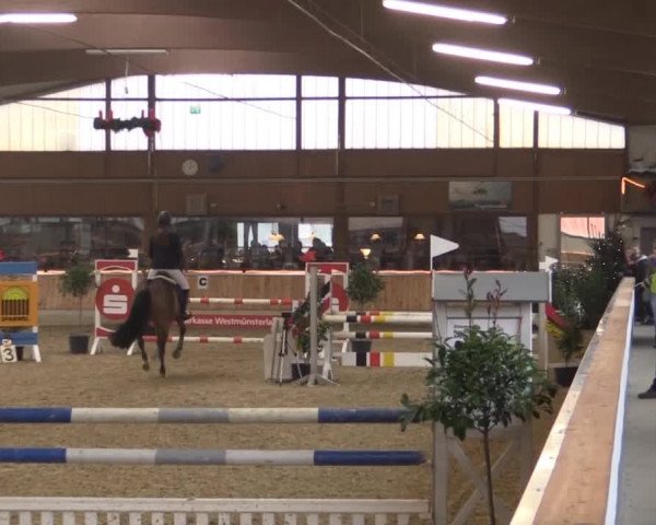 Hallen-Jugend-Springturnier Südlohn-Oeding 2014