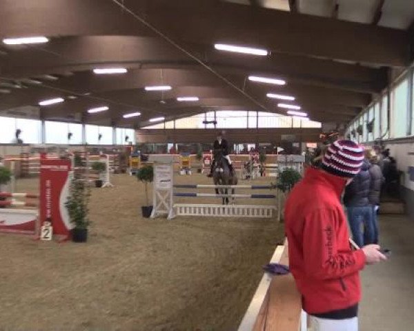 Hallen-Jugend-Springturnier Südlohn-Oeding 2014