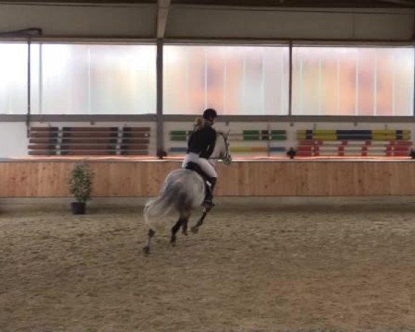 Hallen-Jugend-Springturnier Südlohn-Oeding 2014