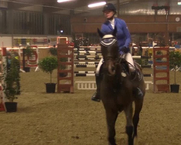 Hallen-Jugend-Springturnier Südlohn-Oeding 2014