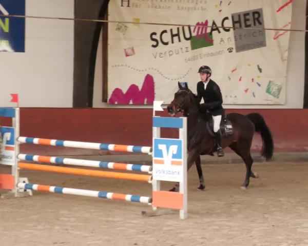 Jezdecký turnaj Viernheim 2026