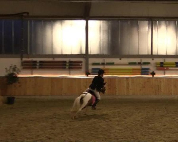 Hallen-Jugend-Springturnier Südlohn-Oeding 2014