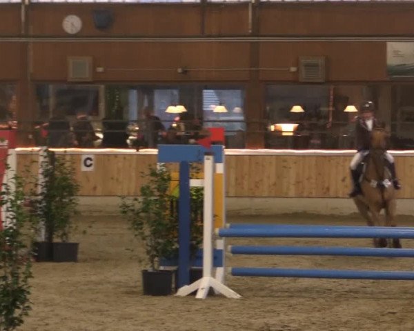 Hallen-Jugend-Springturnier Südlohn-Oeding 2014