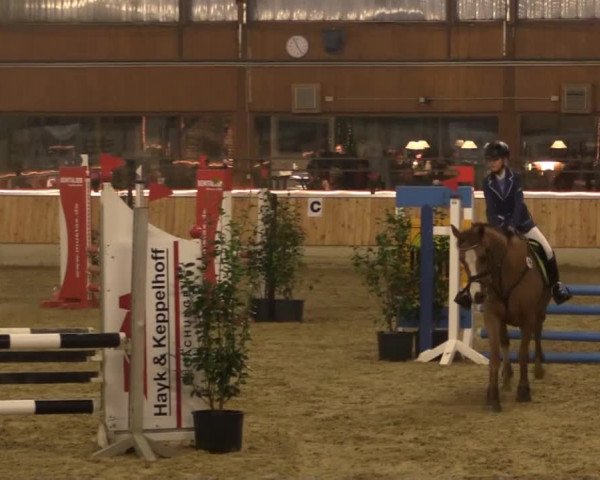 Hallen-Jugend-Springturnier Südlohn-Oeding 2014