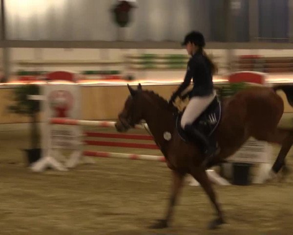 Hallen-Jugend-Springturnier Südlohn-Oeding 2014