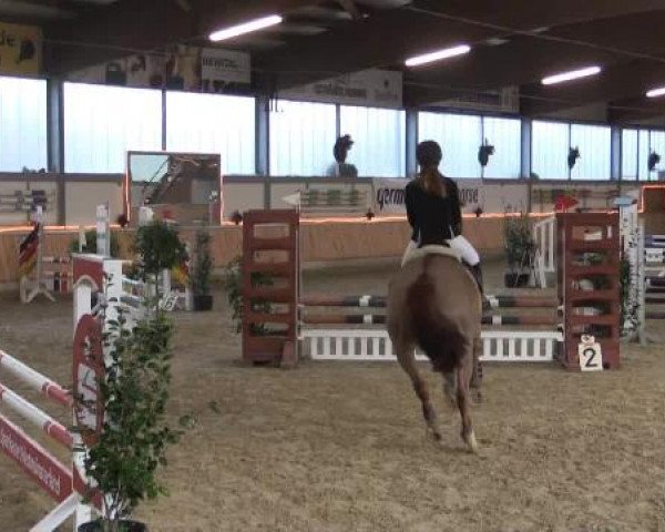 Hallen-Jugend-Springturnier Südlohn-Oeding 2014