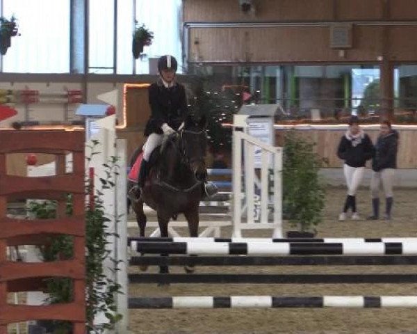 Hallen-Jugend-Springturnier Südlohn-Oeding 2014