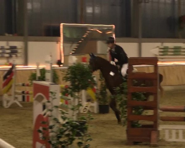 Hallen-Jugend-Springturnier Südlohn-Oeding 2014