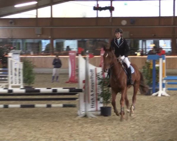 Hallen-Jugend-Springturnier Südlohn-Oeding 2014