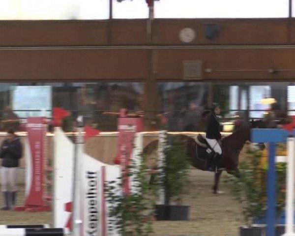 Hallen-Jugend-Springturnier Südlohn-Oeding 2014