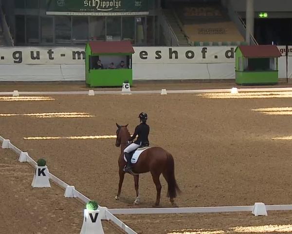 Rideturnering Kreuth/Opf. 2026