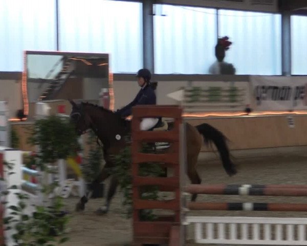 Hallen-Jugend-Springturnier Südlohn-Oeding 2014