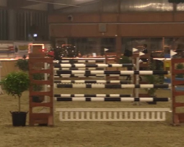 Hallen-Jugend-Springturnier Südlohn-Oeding 2014