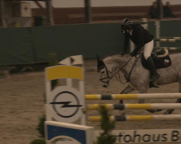 Torneo Ecuestre Vlotho-Exter 2026