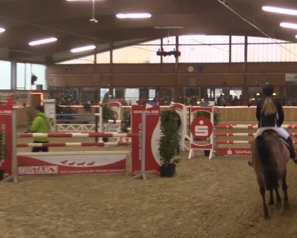 Hallen-Jugend-Springturnier Südlohn-Oeding 2014
