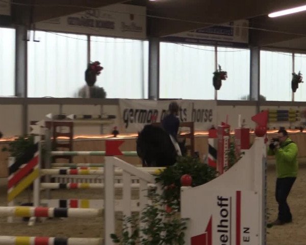 Hallen-Jugend-Springturnier Südlohn-Oeding 2014