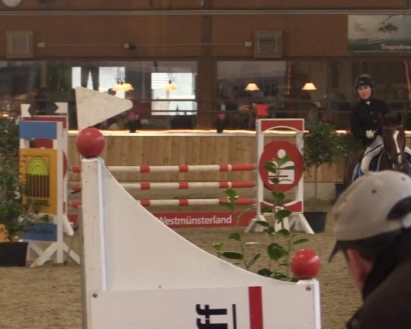Hallen-Jugend-Springturnier Südlohn-Oeding 2014