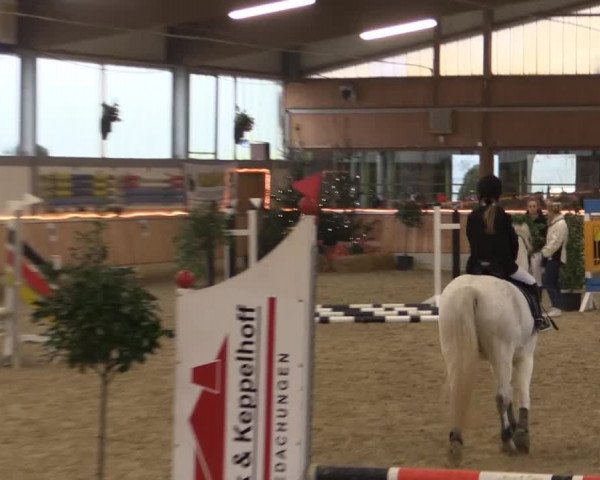Hallen-Jugend-Springturnier Südlohn-Oeding 2014