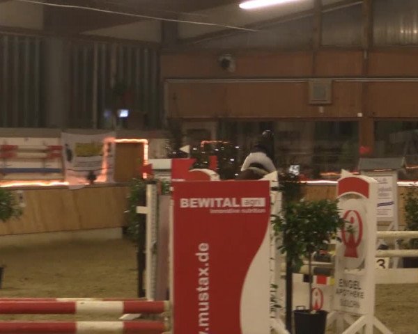 Hallen-Jugend-Springturnier Südlohn-Oeding 2014