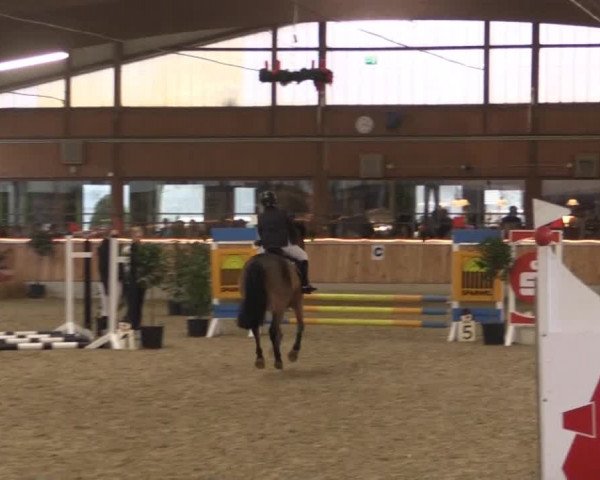 Hallen-Jugend-Springturnier Südlohn-Oeding 2014