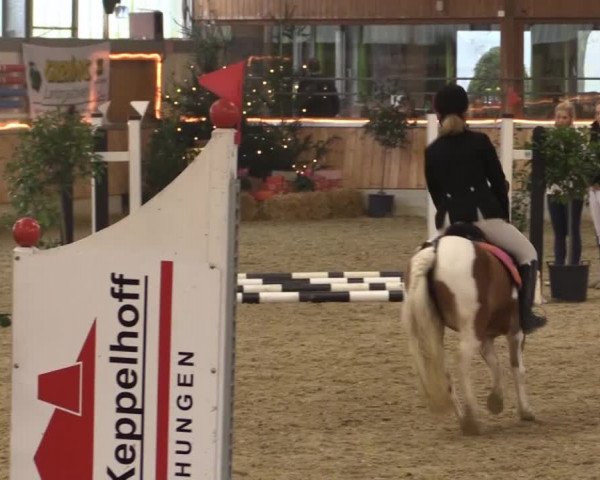 Hallen-Jugend-Springturnier Südlohn-Oeding 2014