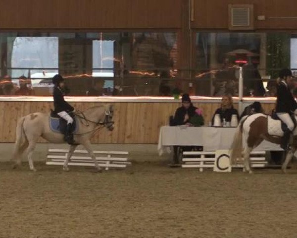 Hallen-Jugend-Springturnier Südlohn-Oeding 2014