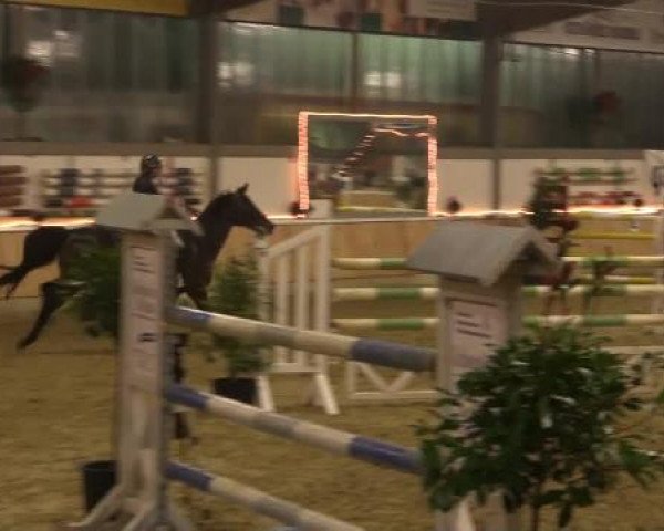Hallen-Jugend-Springturnier Südlohn-Oeding 2014