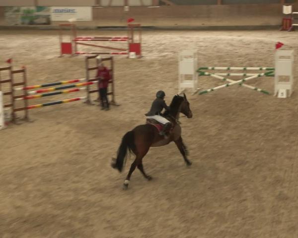 Reitturnier Schaffhausen 2026