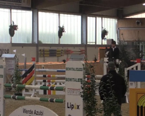 Hallen-Jugend-Springturnier Südlohn-Oeding 2014