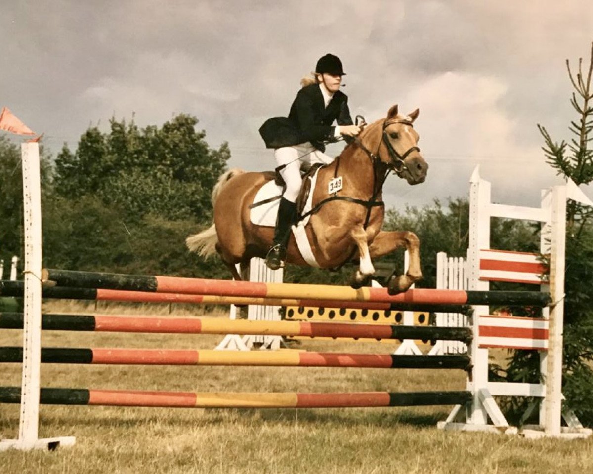 Deckhengst Kirby Cane Bugler (Welsh Pony (Sek.B), 1975, von Kirby Cane Sundog)