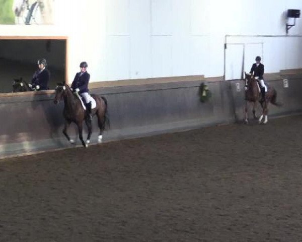 Winterchampionat Essen-Stadtwald 2014