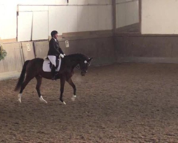 Winterchampionat Essen-Stadtwald 2014